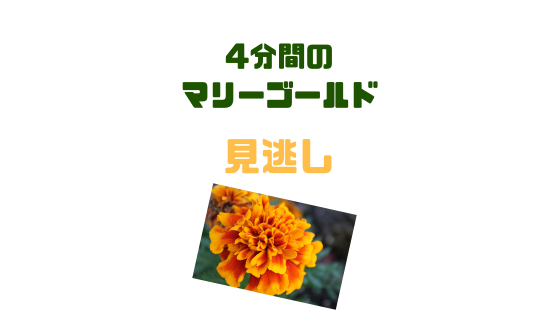 4分間のマリーゴールド 見逃し 動画配信 視聴方法 福士蒼汰作品 再放送情報も 無料期間あり ドドエア動画配信サービスとドラマと映画とアニメ